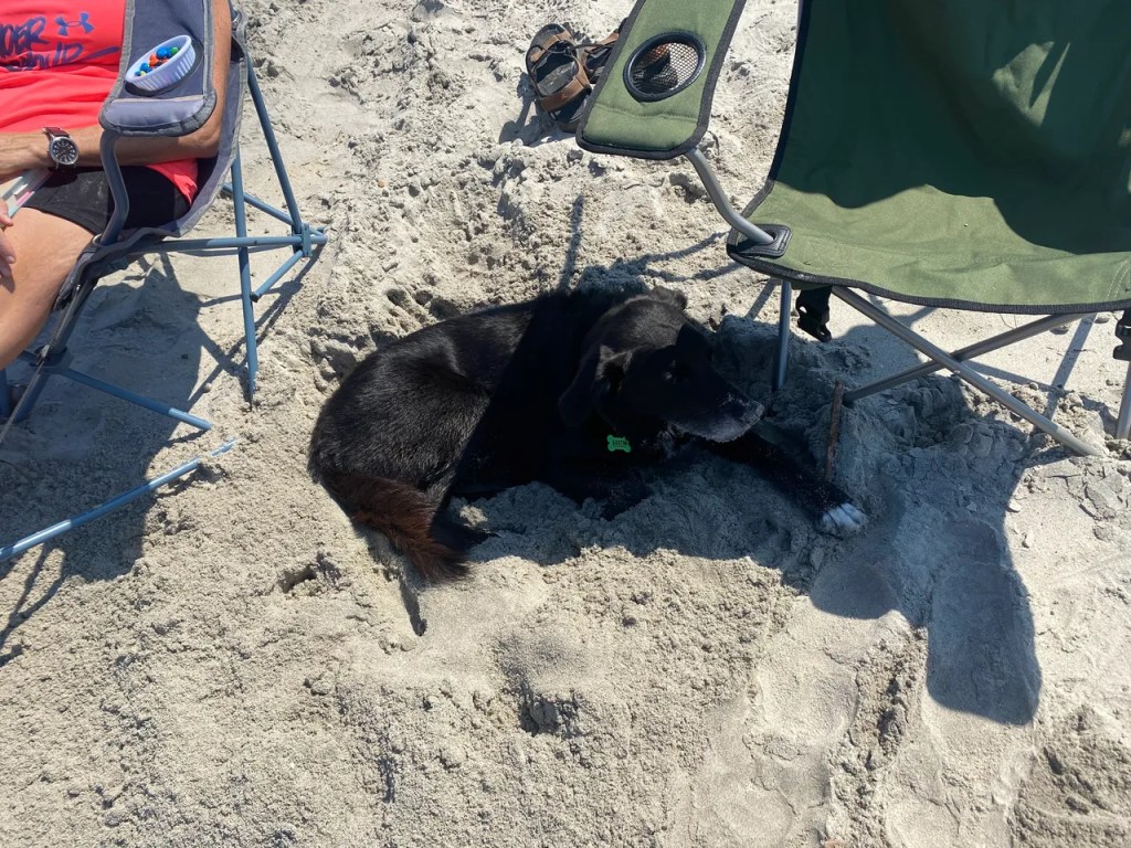 Austin digging in sand