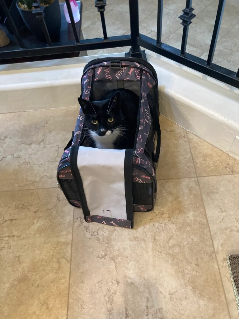 All Packed and Ready to Go to&nbsp;Coronado!