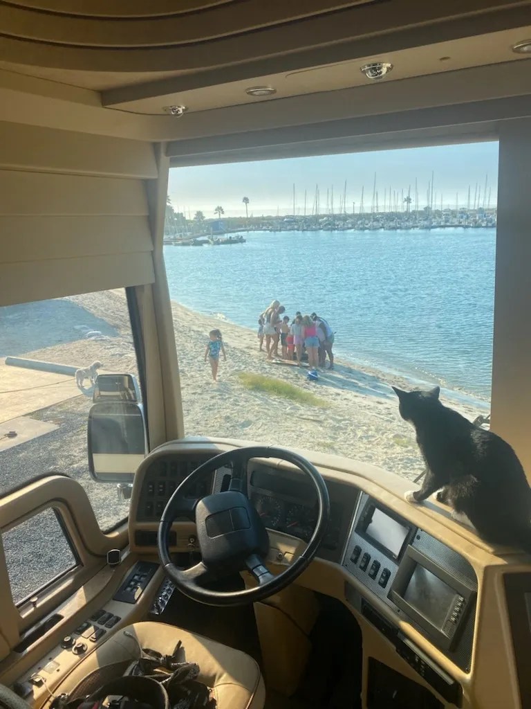Frankie watching kids on beach