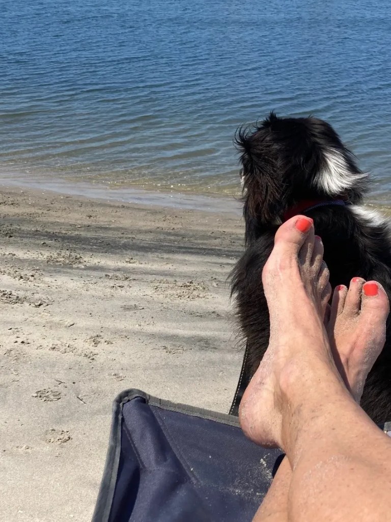 Painted toes on the beach with dog