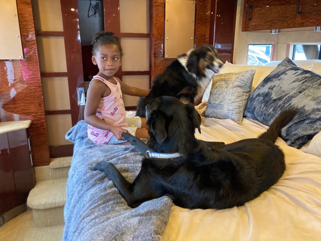 Neighbor visits with dogs