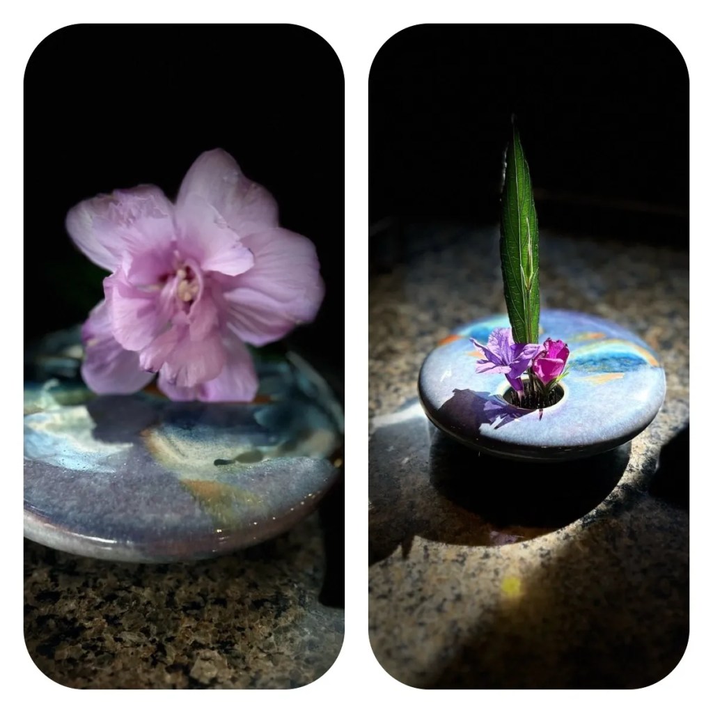 Respite in Fredericksburg,&nbsp;TX