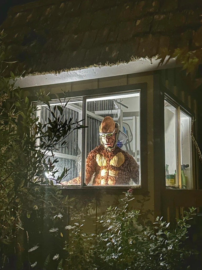 Sasquatch in Our Redwoods&nbsp;Campground