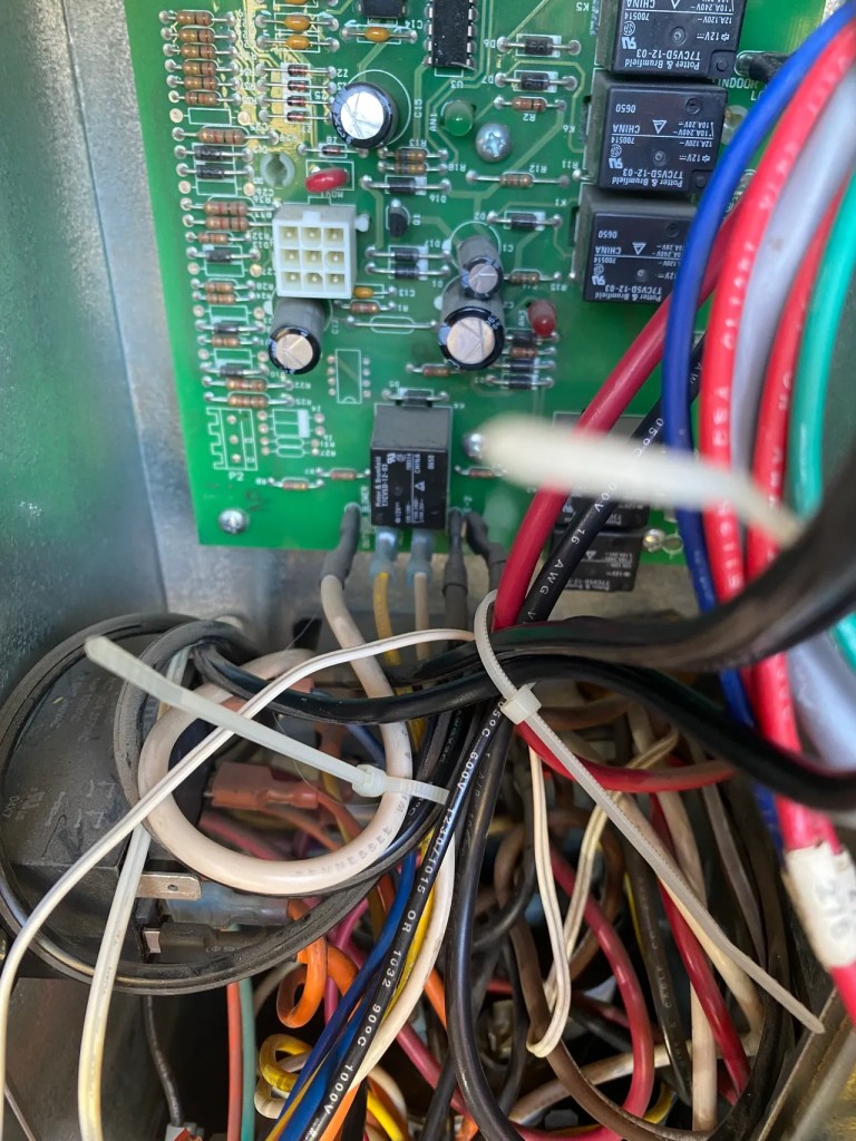 Cooling Down in&nbsp;Corvallis